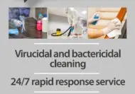 In Need of Anti-Viral Cleaning?
