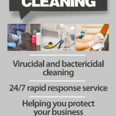 In Need of Anti-Viral Cleaning?